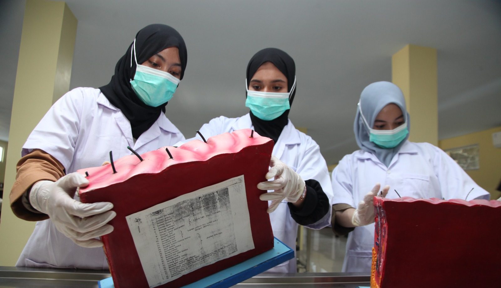 WhatsApp Image 2025-01-17 at 15.45.40